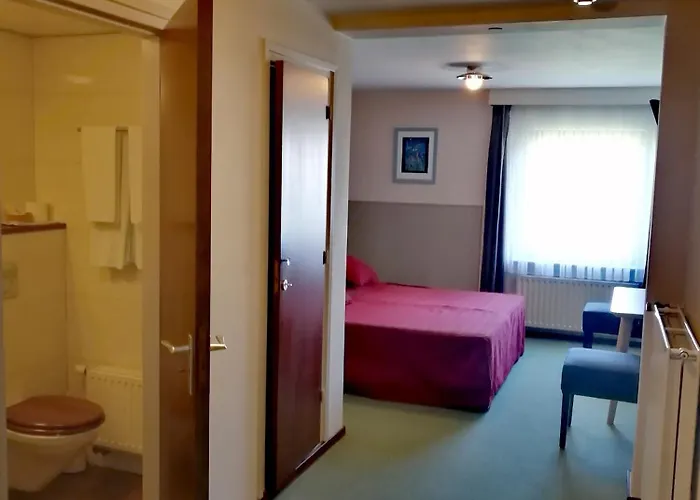 Heynen فندق Valkenburg aan de Geul